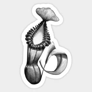 Botanical Carnivorous Plant Drawing Nepenthes Edwardsiana Pitcher Sticker